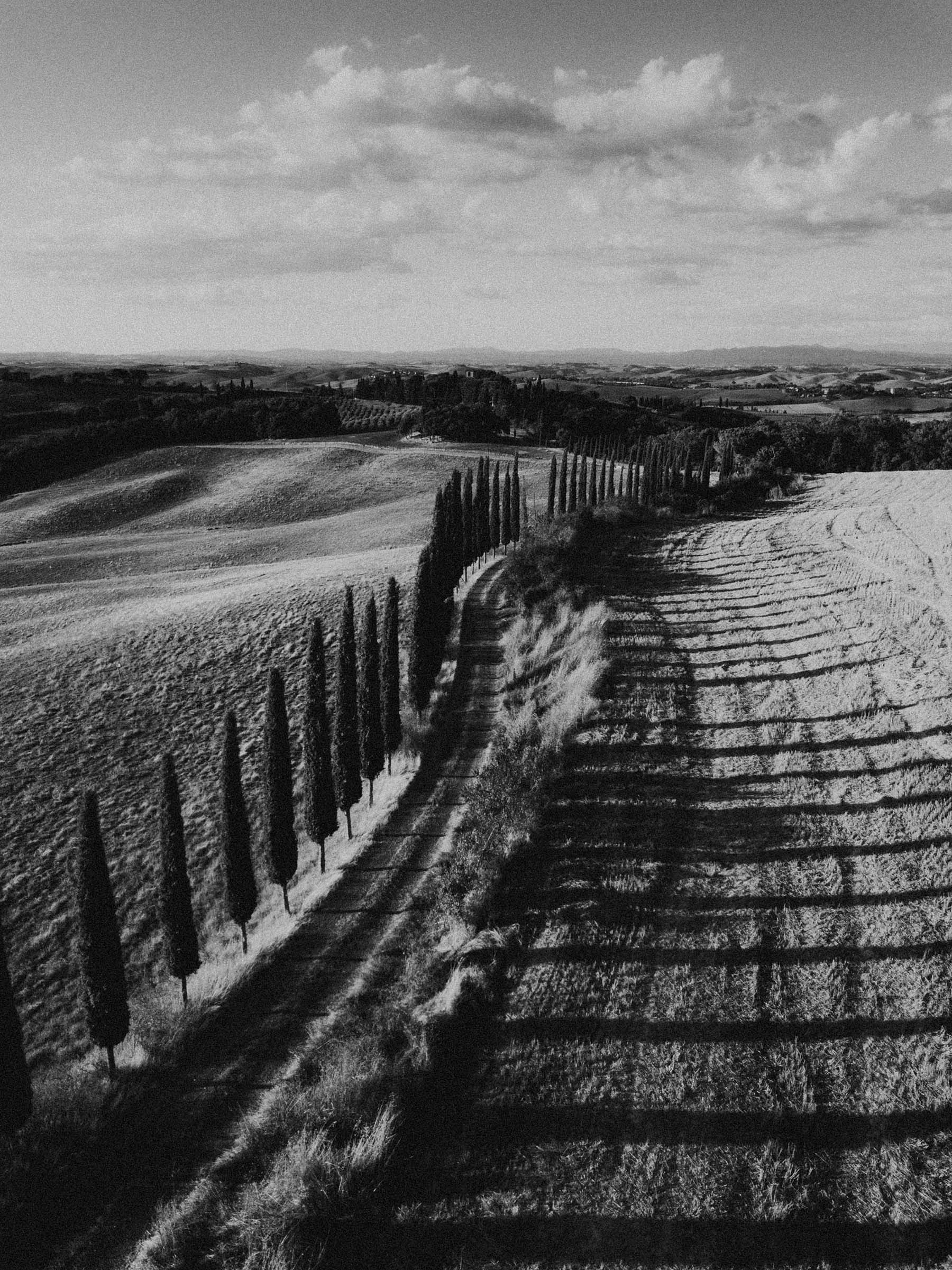 portrait drone photo of tuscany trees